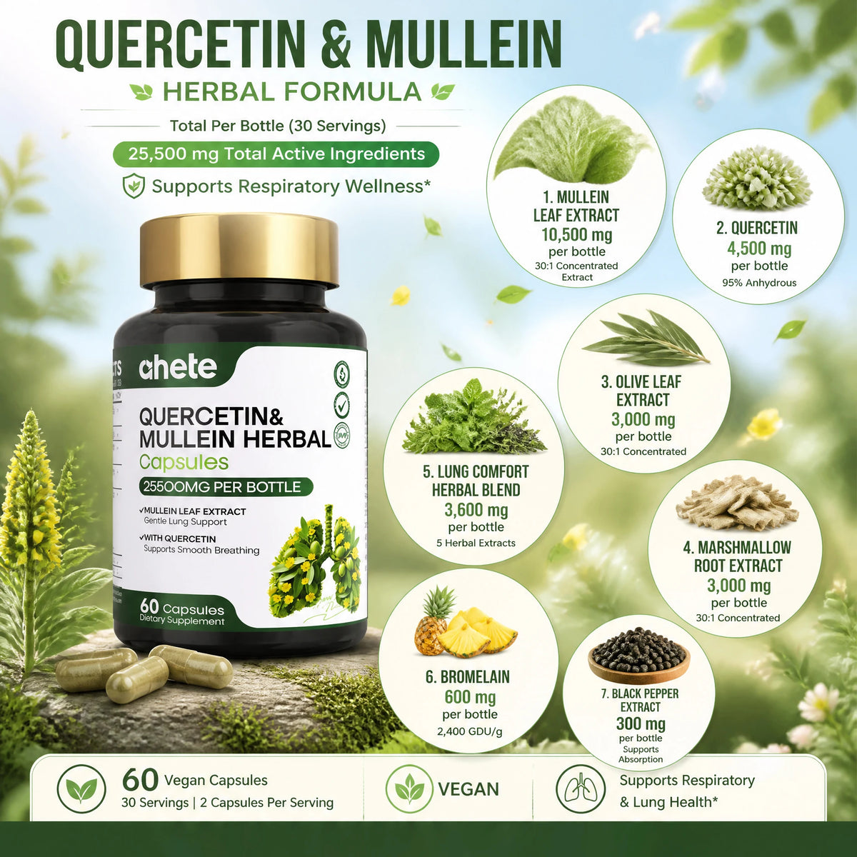 AHETE Mullein Leaf & Quercetin Capsules - High Potency Mullein And Quercetin, Lung Support Formula. Supports Respiratory Health.