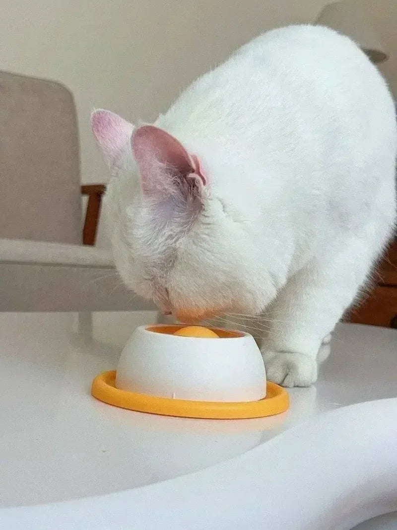 Pet Lick Feeder Bowl Slow Feeder for Dogs Cats Anti Anxiety Interactive Treat Toy Non-Slip Suction Licking Mat for Oral Care