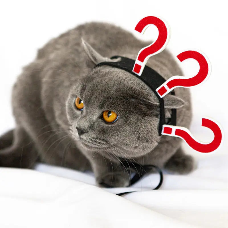 Pet Costume Funny Headwear for Cat Puppy Dog Halloween Photography Props Party Supplies Pet Accessories