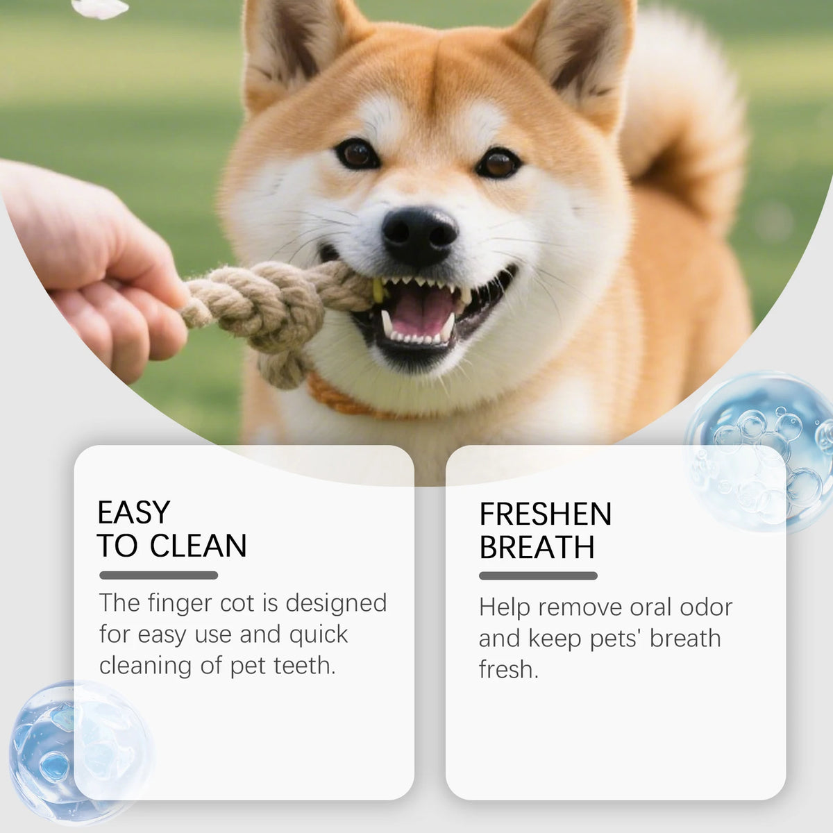 Pet Dental Powder for Dogs and Cats Reduces Tartar and Plaque Freshens Breath Improve Oral Odor Daily Pet Oral Hygiene Powder