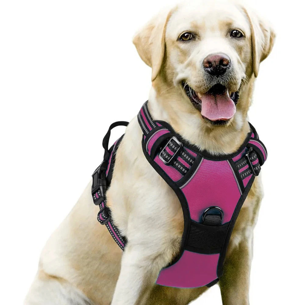 Dog Vest-Style Harness Leash, Pet Vest Leash, Four-Color Optional Nylon Material Dog Harness, Suitable for Medium and Large Dogs, Dog Harness Pet Supplies