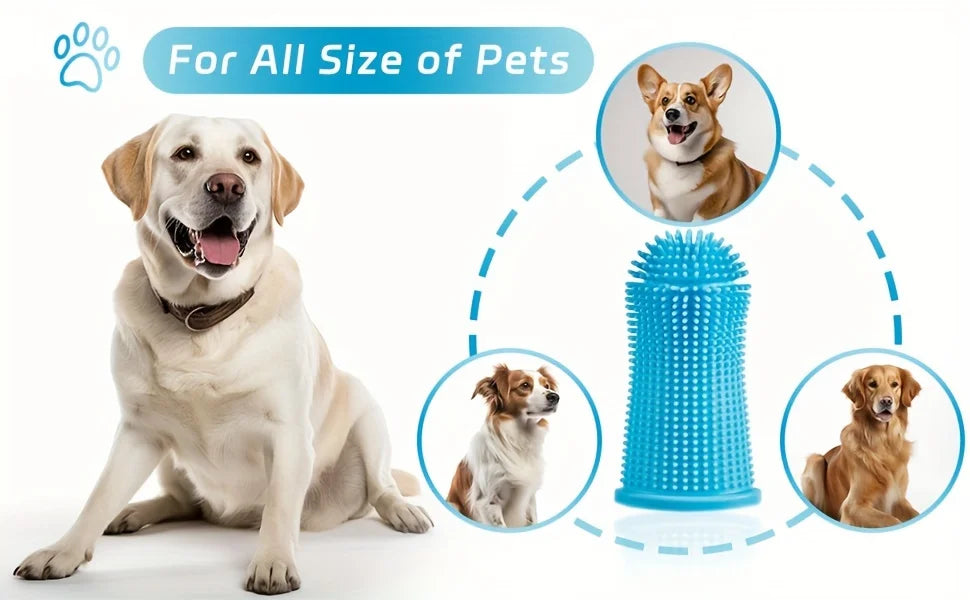 3pcs Softest Pet Toothbrush, Perfect for Cleaning Your Dog or Cat'S Teeth