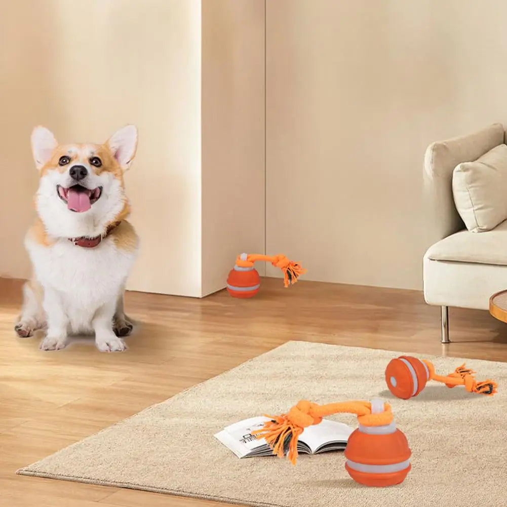Pet Ball for Dogs Interactive Toys Motion Activate Rolling Ball for Puppy/Small Dogs Automatic Moving Toy USB Rechargeable Toy