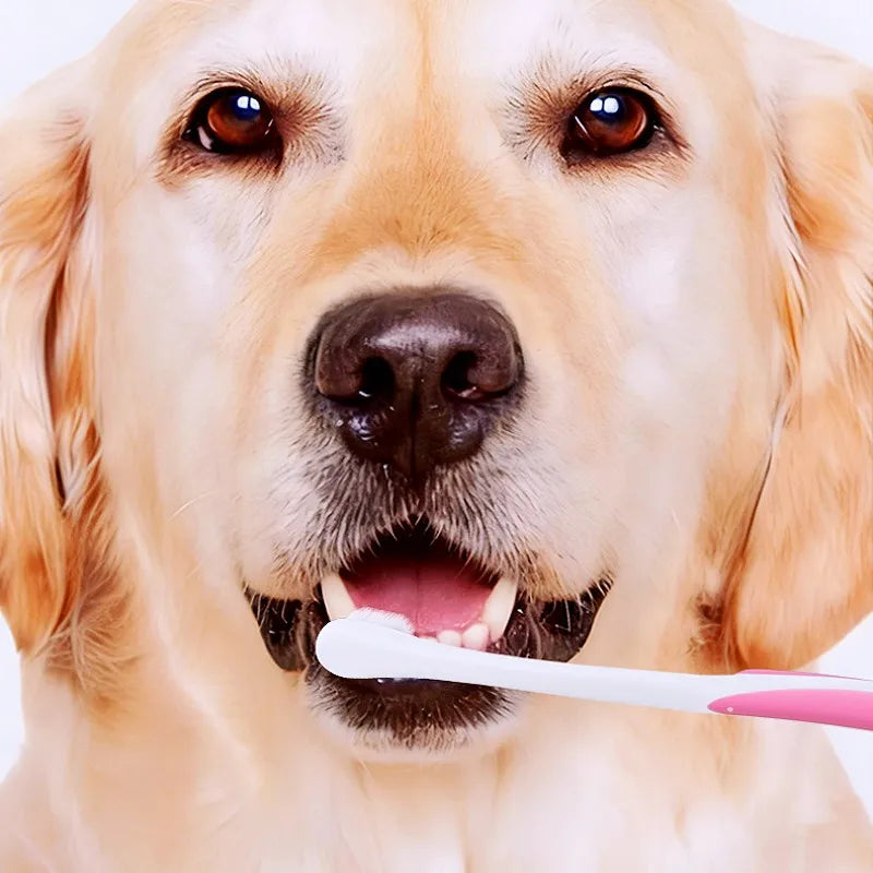 Pet Toothbrush Dog Toothbrushes Soft Dense Hair Toothbrush for Dog Teeth Cleaning Small Head Cat Toothbrushes Pet Mouth Cleaning