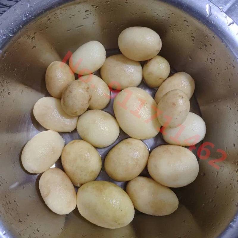 Home Electric Potato Peeling Portable Potato Peeler Vegetable Dehydrator Kitchen Tool EU Plug US Plug