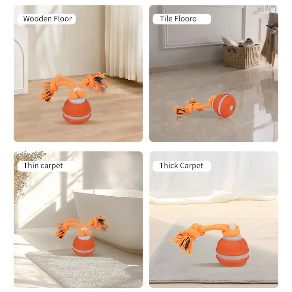 Pet Ball for Dogs Interactive Toys Motion Activate Rolling Ball for Puppy/Small Dogs Automatic Moving Toy USB Rechargeable Toy