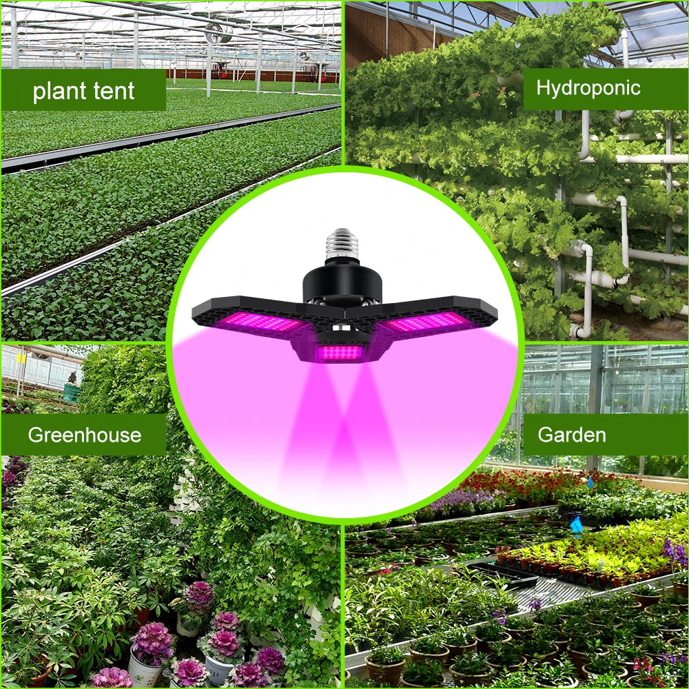250W E27/E26 LED Growing Lamp Full Spectrum Foldable Plant Fill Lighting Vegetable Fruit Hydroponics Cultivation 100W/150W/200W