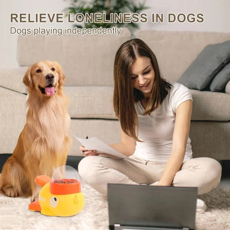 Cat Toys, Automatic Cat Feeders, Interactive Cat Toys, Automatic Pet Food Dispenser, Pet Snack Feeder, Dog Training Pet Supplies
