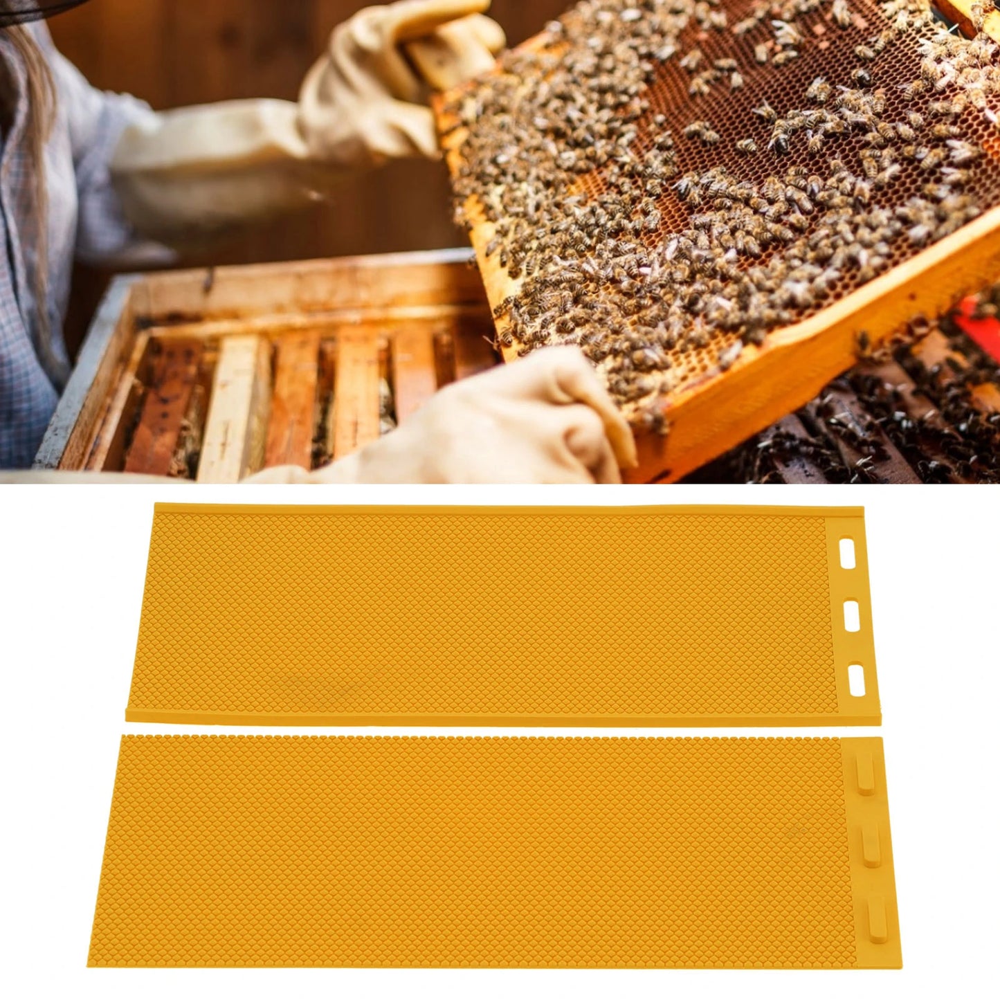 2PCS 5.4mm Beeswax Press Mold DIY Rubber Comb Foundation Sheet Beekeeping Accessory Yellow Beeswax Sheet Beeswax Press Embosser