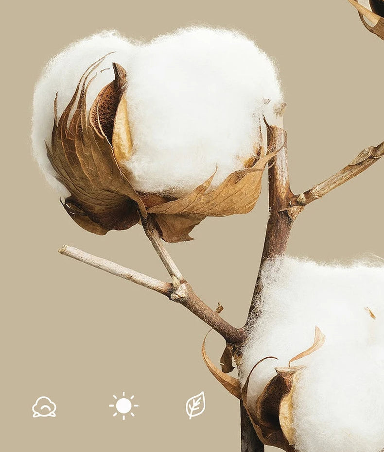 1 Pairs Kids Knee High Socks Baby Girls Boys Bow Long Sock Soft Cotton Mesh Breathable Children Hollow Out Socken For 0-7 Years