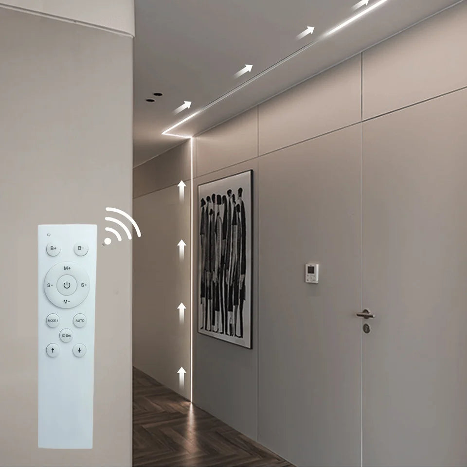 WS2811 COB Running Water Flowing LED Strip Light Horse Race Chasing Tape Wireless Remote Controller DC24V Power 20M 10M Full Set