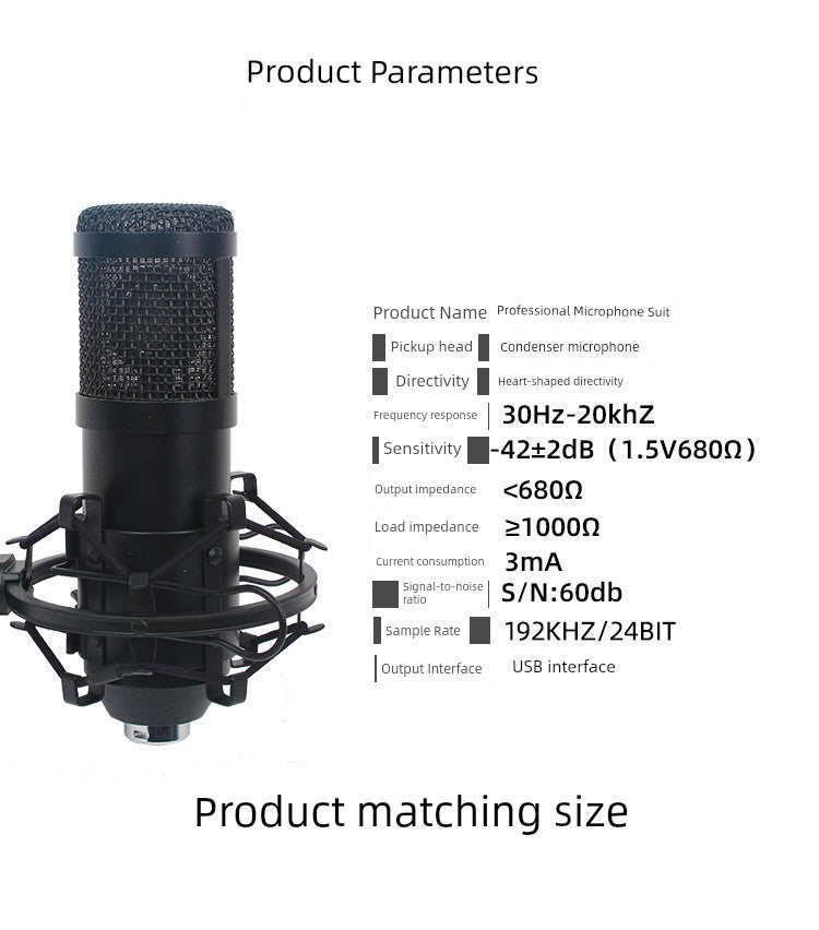 High Sampling Rate USB Microphone Computer Game Recording Bm700 Capacitance Mic Suit 192KHz/24bit