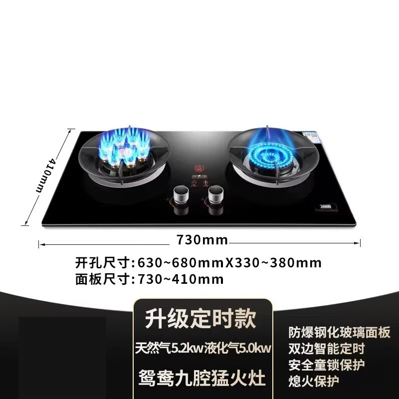 Gas stove, double burner, household LPG tabletop/natural gas stove, high-power built-in gas stove
