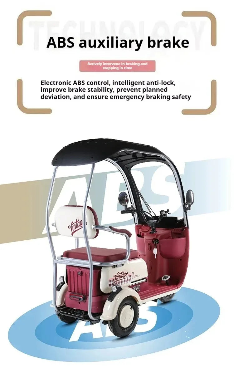 3 Wheels 1000W Electric Scooter Electric Tricycle Small Mobility Scooters Electric Ebike For Adults