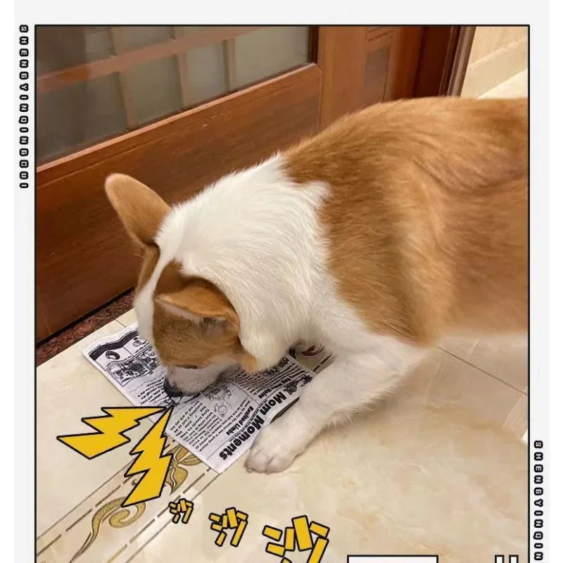 2026 New Pet Dog Sound Toys, Bite-resistant, Self-lifting Boredom Artifact, Sound Newspaper, J, Q, K, Sound Paper Toy Supplies.