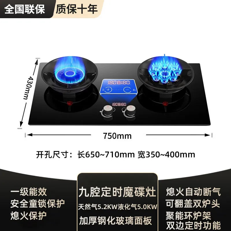 Gas stove, double burner, household LPG tabletop/natural gas stove, high-power built-in gas stove