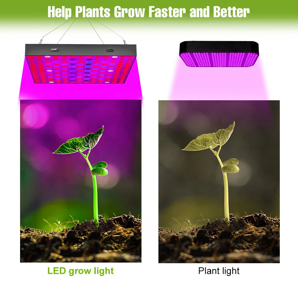 100W 50W LED Full Spectrum Indoor Grow Light Quantum Plate Plant Lamp Greenhouse Flower Succulents Potted Cultivation US/EU Plug