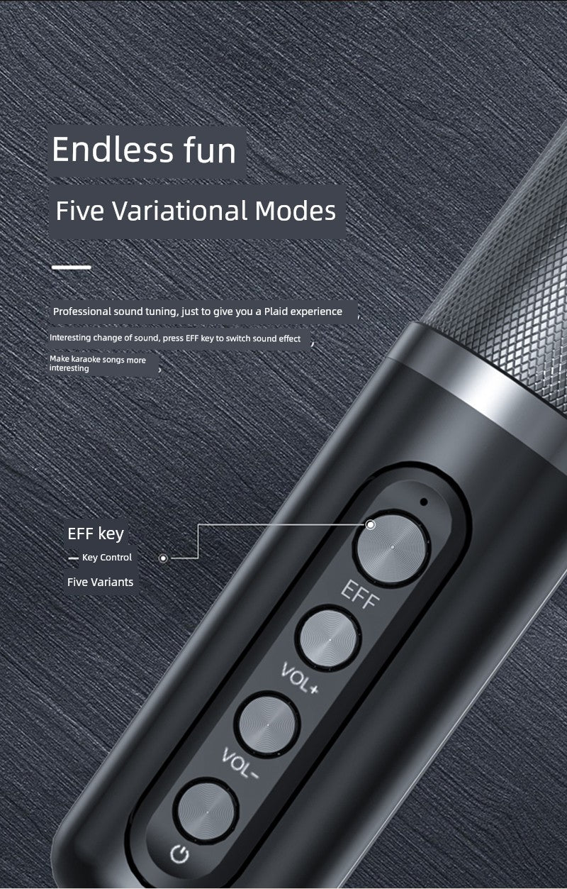 Family KTV Microphone Audio All-in-One Machine Karaoke For Home Singing TV WeSing Wireless Microphone
