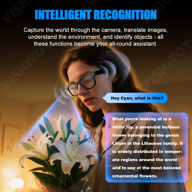 AI Smart Glasses Built-in HD Camera Glasses Bluetooth Wireless Audio Intelligent Glasses Anti-glare Anti-blue connected glasses