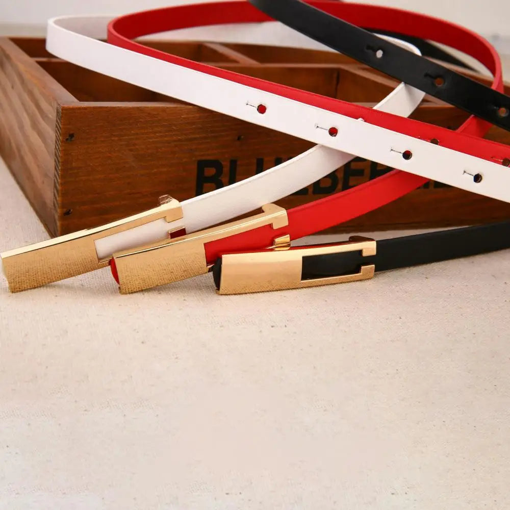 Waistband Accessories Women Faux Leather Belt Strap Slim Metal Buckle Dress Accessories