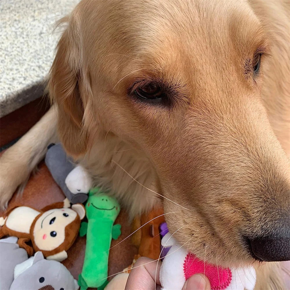Pet Dog Toys Plush Chew Toy Soft Banana Bone Vegetable Fruit Squeaky Puppy Training Interactive Toy Bite-Resistant Pet Supplies