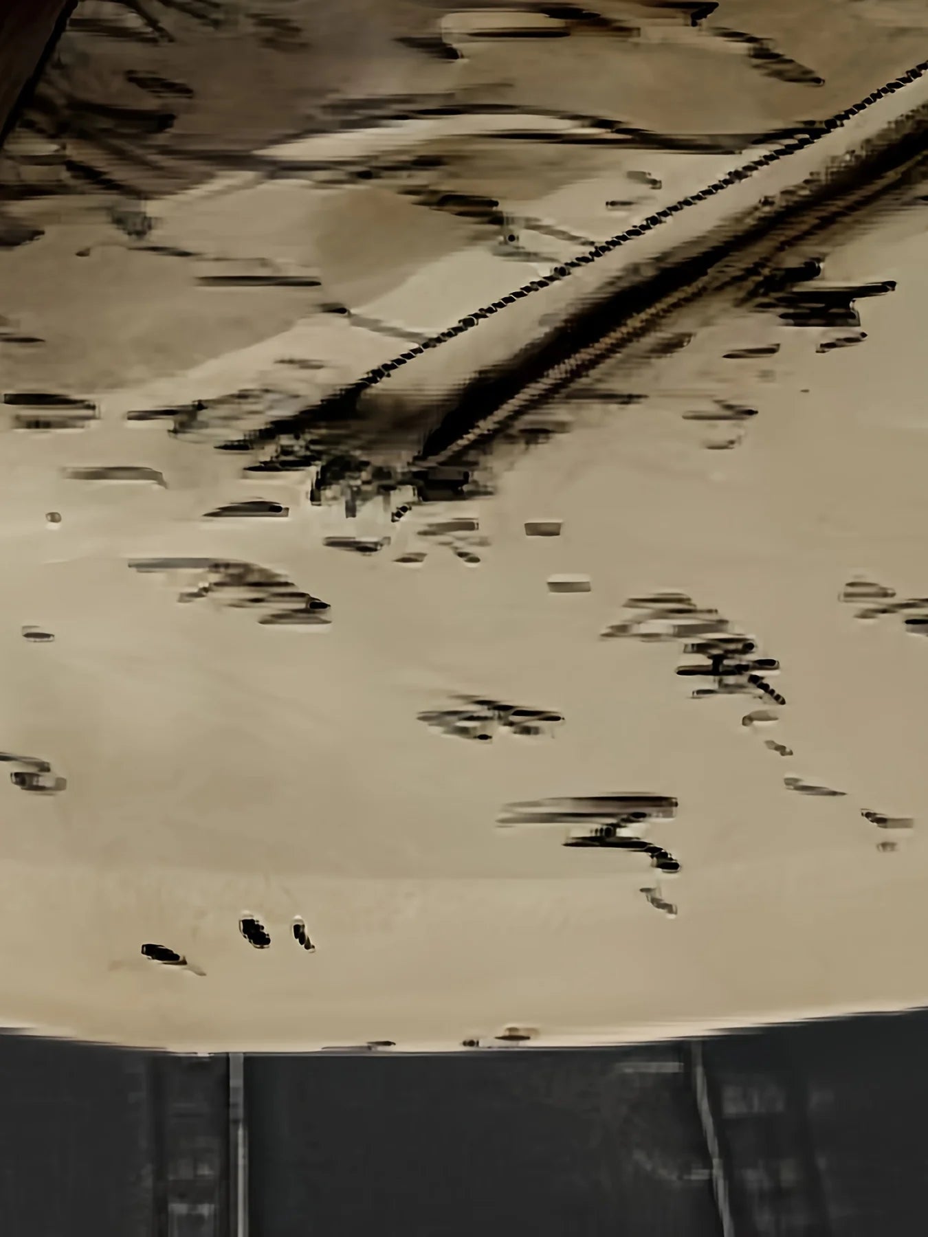 Men's Crocodile Graphic Print T-shirt Short Sleeve Crew Neck Tee Men's Clothing For Summer Outdoor Sportswear Casual T shirts