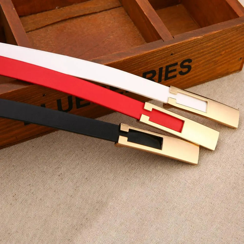 Waistband Accessories Women Faux Leather Belt Strap Slim Metal Buckle Dress Accessories