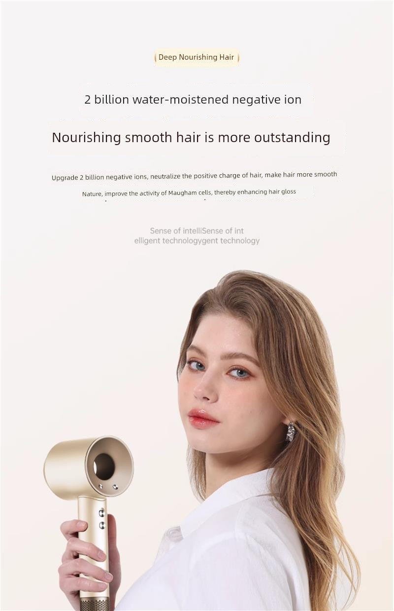 German Electric Hair Dryer For Home Anion Hair Care High Power Student Dormitory Mute Hair Dryer High Speed Huaqiang North Imitation