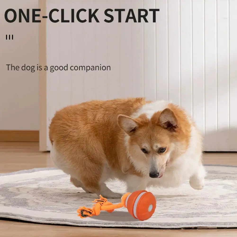 Pet Ball for Dogs Interactive Toys Motion Activate Rolling Ball for Puppy/Small Dogs Automatic Moving Toy USB Rechargeable Toy