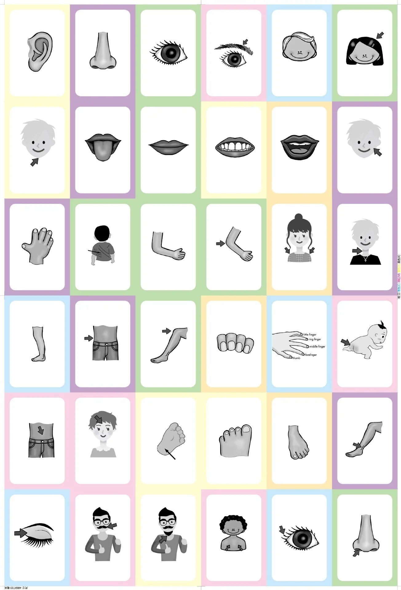 36Pcs Kids Cognition Card Shape Animal Color Teaching Baby English Learning Word Card Education Toys Montessori Material Gift