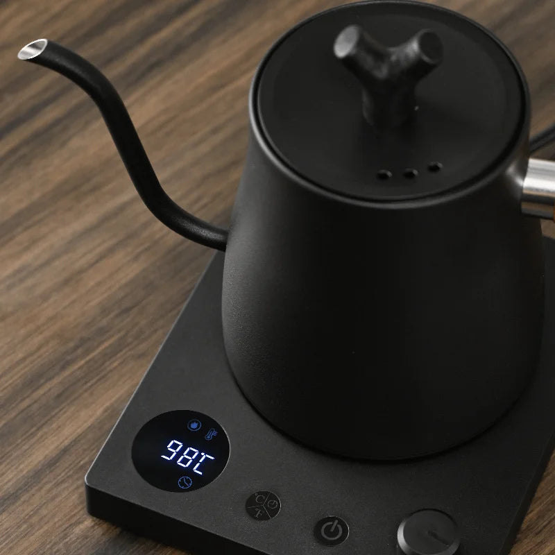 220V Gooseneck Electric Kettle 1L with Temp Control 45-100°C, 304 Stainless Steel Quick Heat, Coffee Tea Brewing