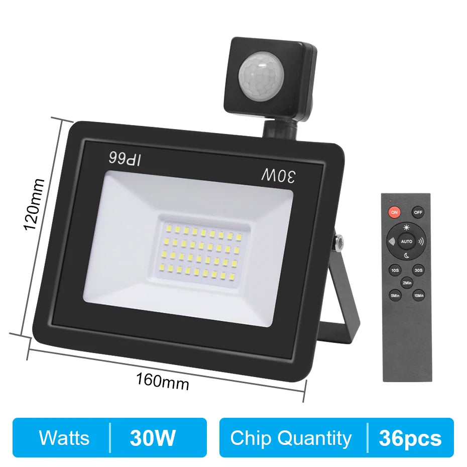 Outdoor LED Floodlight PIR Sensor 10W 20W 30W 50W 100W Cold White IP66 AC220V Garden/Street Reflector Spotlight with IR Remote