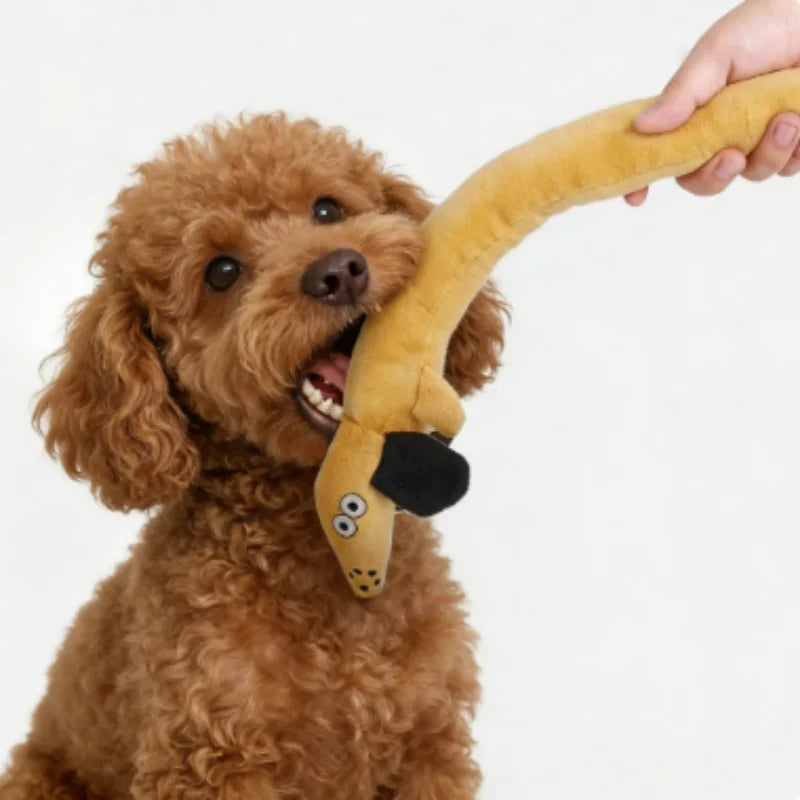 Snail Shaped Pet Toys for Dogs And Cats Odor Hiding Training Puzzles Fun Sniffing Mats - Interactive Play for Cats And Dogs