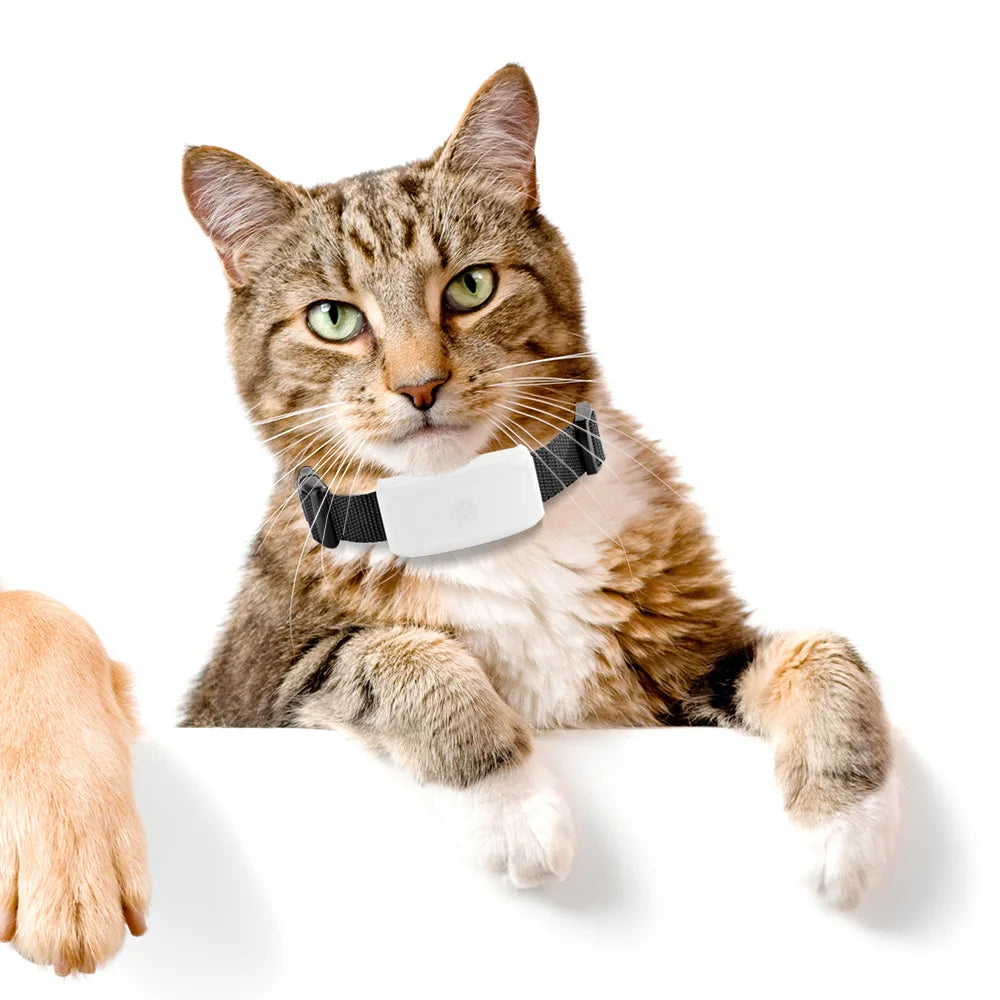 2G GSM GPS Tracker Pet TK911 GPS Locator TKSTAR Mini GPS Pets Tracker 2G GSM Best Dog GPS Tracker With Free APP Waterproof IP67