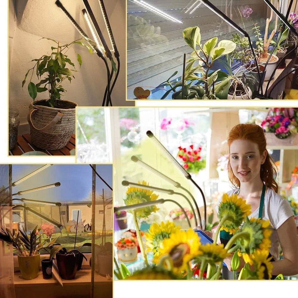LED plant growth light, plant light clip, timed full spectrum sunlight, succulent flower herb seedling supplement light