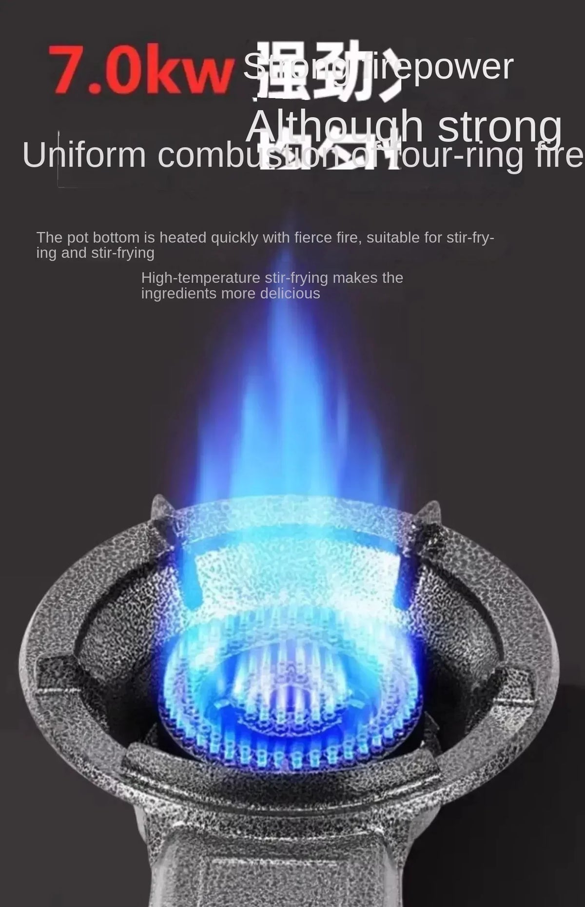 Powerful Gas Stove for Home and Commercial Cooking - Compatible with Natural Gas and LPG AN