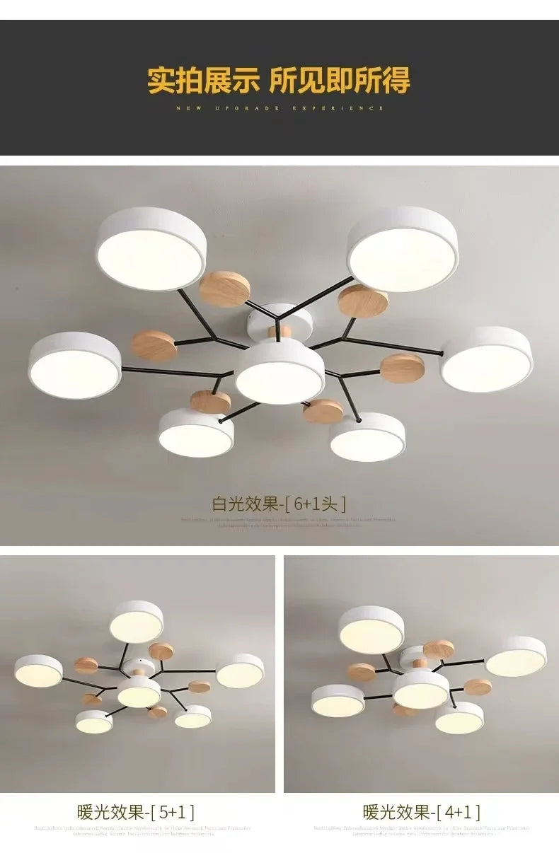 Retro Nordic Minimalist Four Head Six Head Restaurant Lighting Living Room Bedroom Lighting Room Ceiling Light Cross border