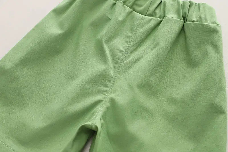 Summer Casual Newborn Baby Boys Toddler Big Dinosaure Short Sleeve Tops Pants 2Pcs/set Cotton Kids Outfits Clothing