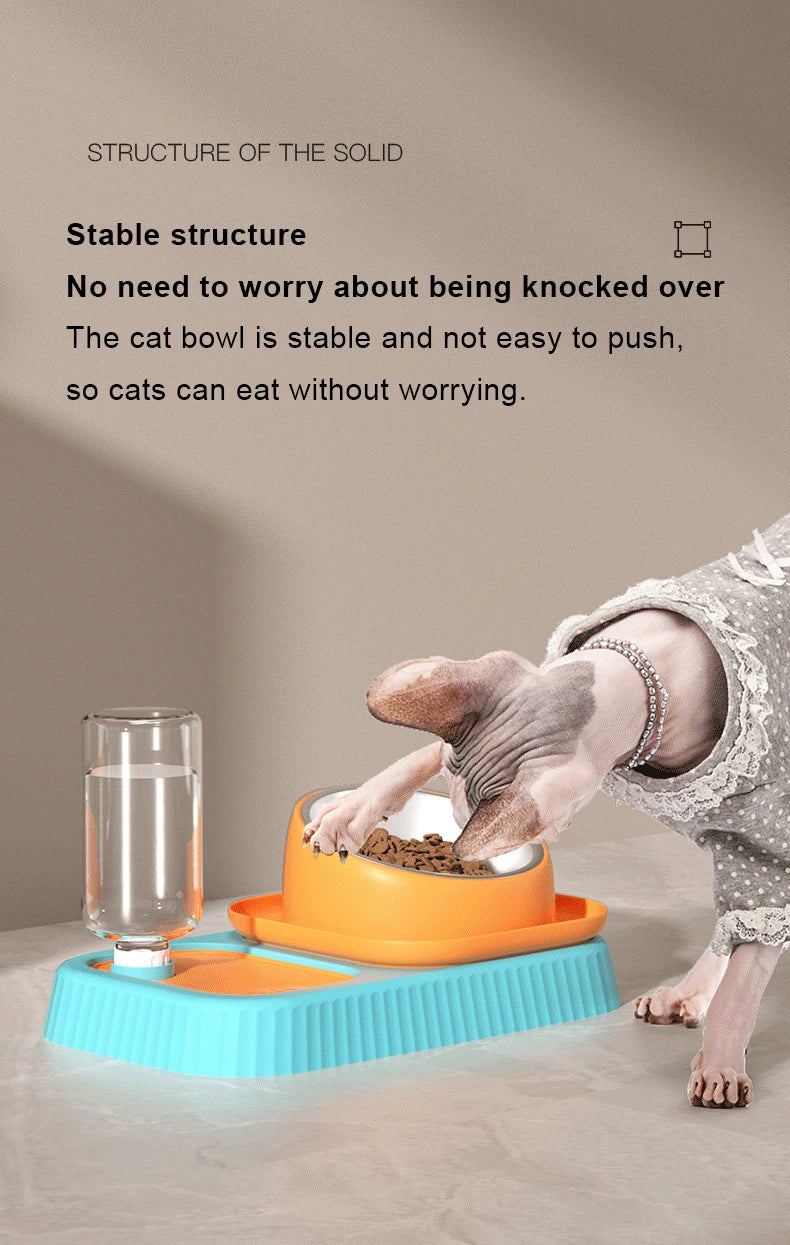 Cats and Dogs  Used Simple Use Pet Feeding Bowl, Durable and Safe Design Functions