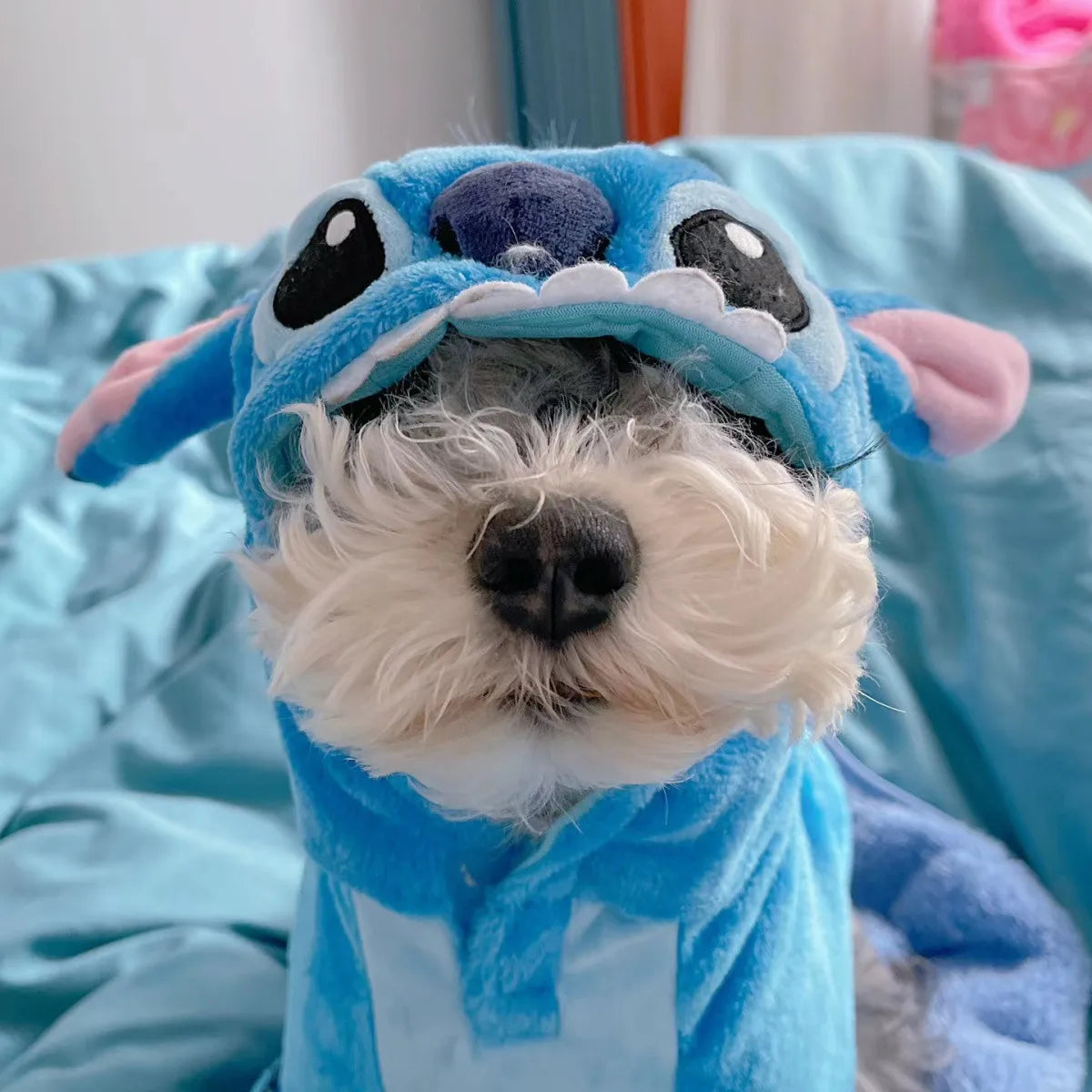 Anime Cartoon Cute Lilo Stitch Pet Costume Cat Dog Transform Plush Lined Snap Jacket Four-Legged Clothes Surprise Gift for Fans