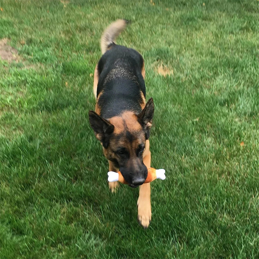 Pet Dog Toys Plush Chew Toy Soft Banana Bone Vegetable Fruit Squeaky Puppy Training Interactive Toy Bite-Resistant Pet Supplies