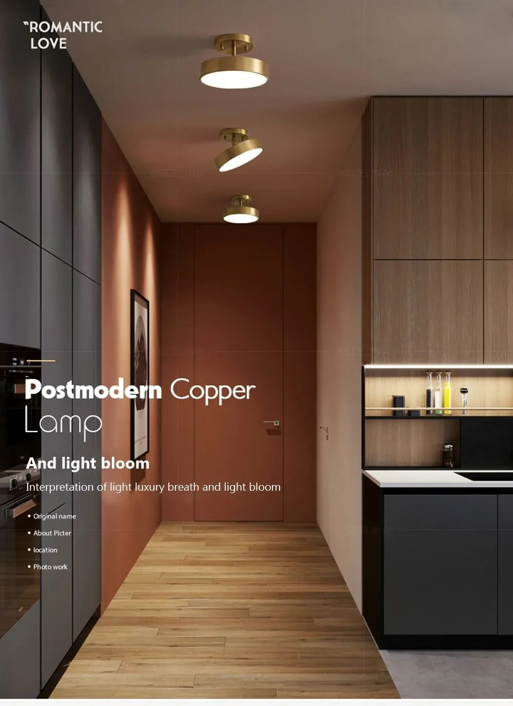 Modern LED Ceiling Light Aisle Lighting Lamps Corridor Stairs Balcony Corner Round Black Copper LED Home Decor Fixtures Lustre