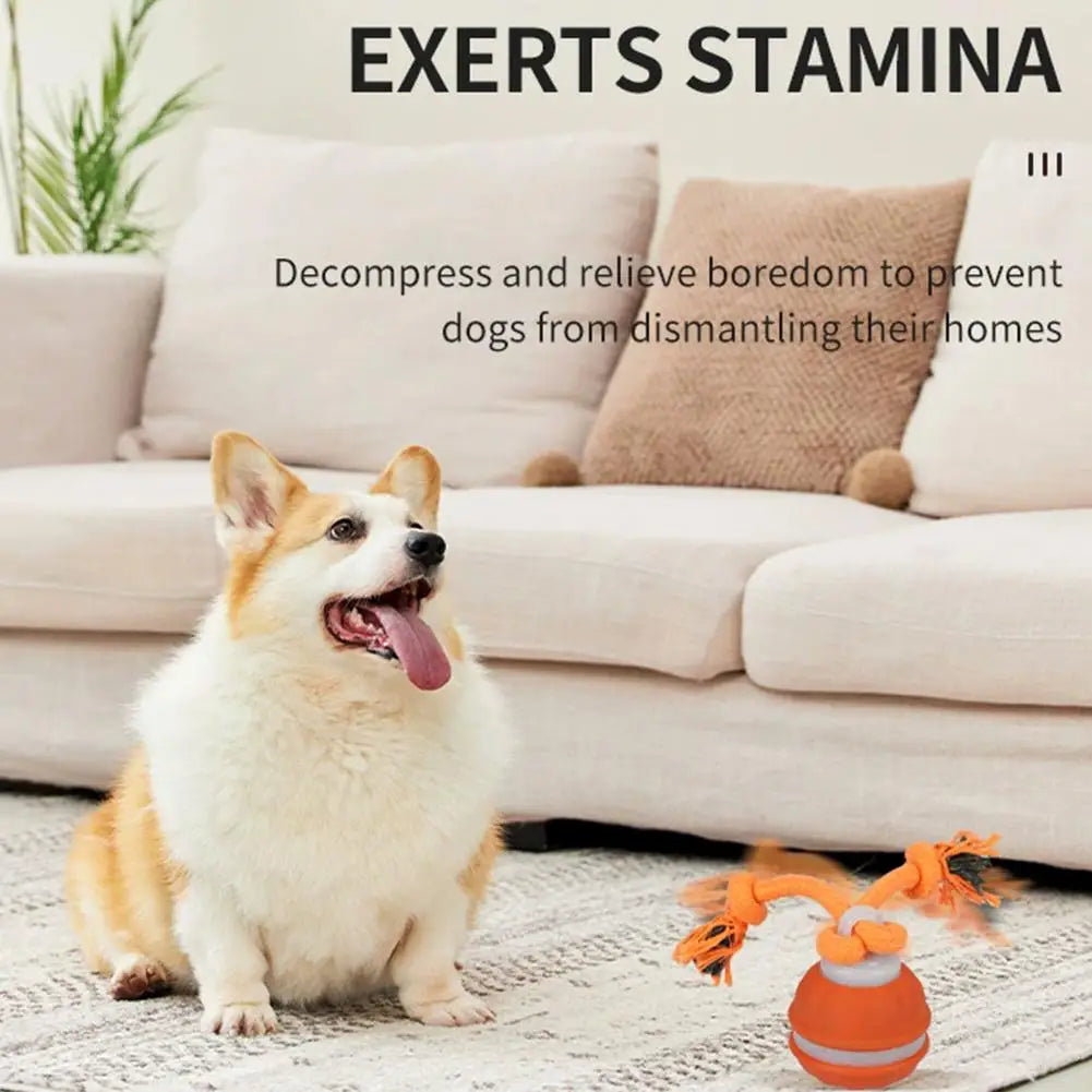 Pet Ball for Dogs Interactive Toys Motion Activate Rolling Ball for Puppy/Small Dogs Automatic Moving Toy USB Rechargeable Toy