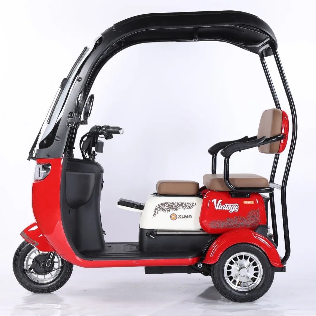 Electric Tricycle, Adult Battery Car, Small Scooter for The Elderly