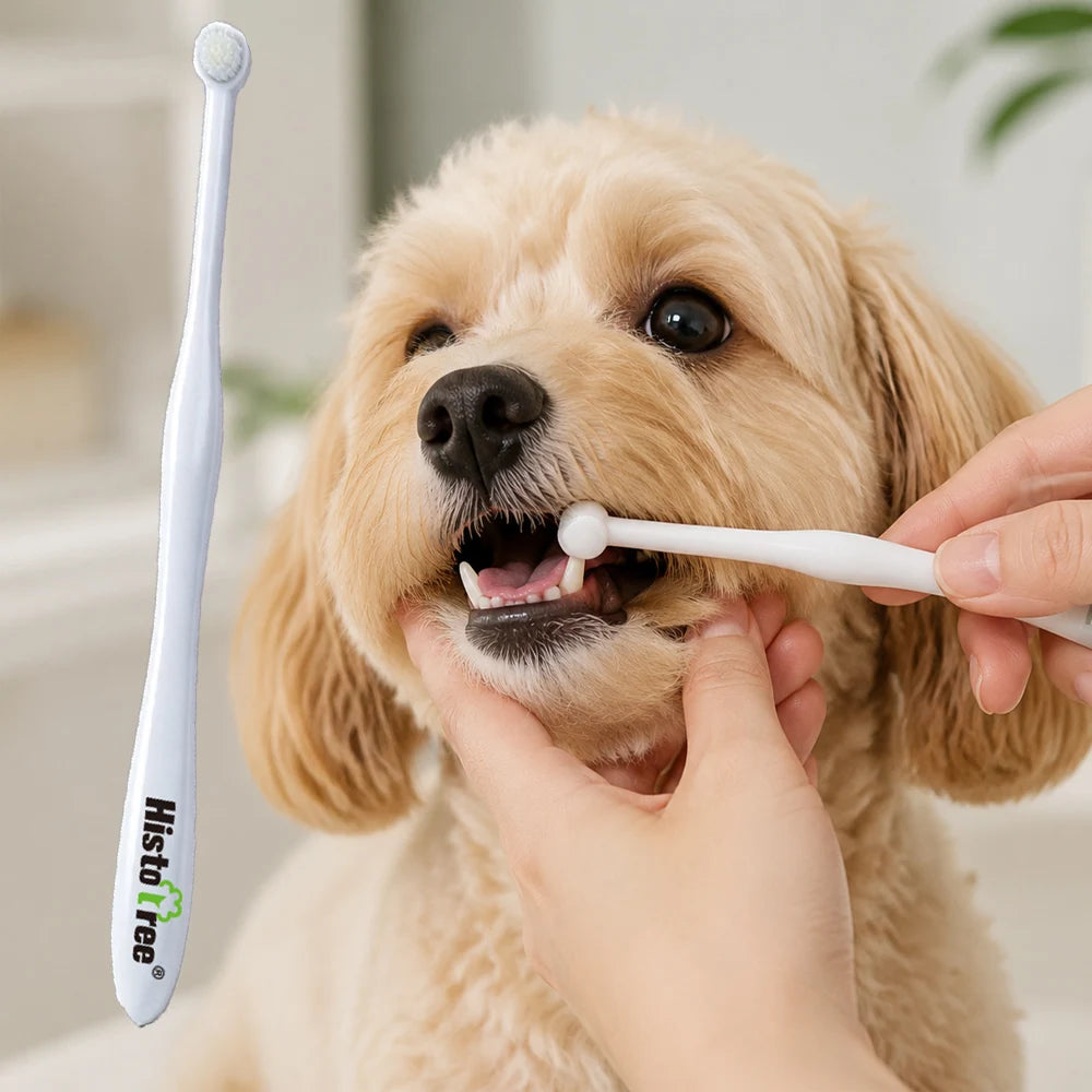 Pet Finger Toothbrush for Dogs Cats Soft Silicone Dog Tooth Cleaning Brush Pet Oral Care Tool Puppy Teeth Cleaning Massage Brush