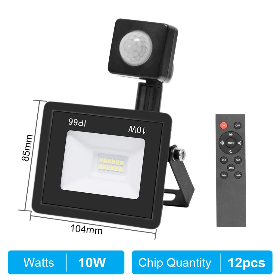 Outdoor LED Floodlight PIR Sensor 10W 20W 30W 50W 100W Cold White IP66 AC220V Garden/Street Reflector Spotlight with IR Remote