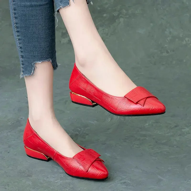 Shoe Women's 2024 New Spring and Autumn Shallow Cut Thick Heel Pointed Toe Women's Shoes Soft Leather Soft Sole Shoes Work Shoes