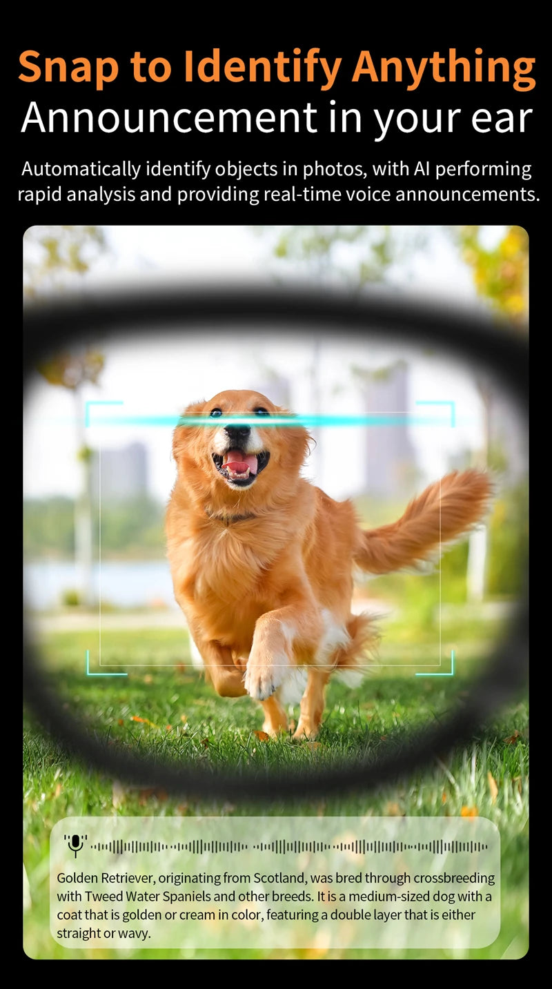 Intelligent Ai Translation Sunglasses 800w Shooting Glasses take photos