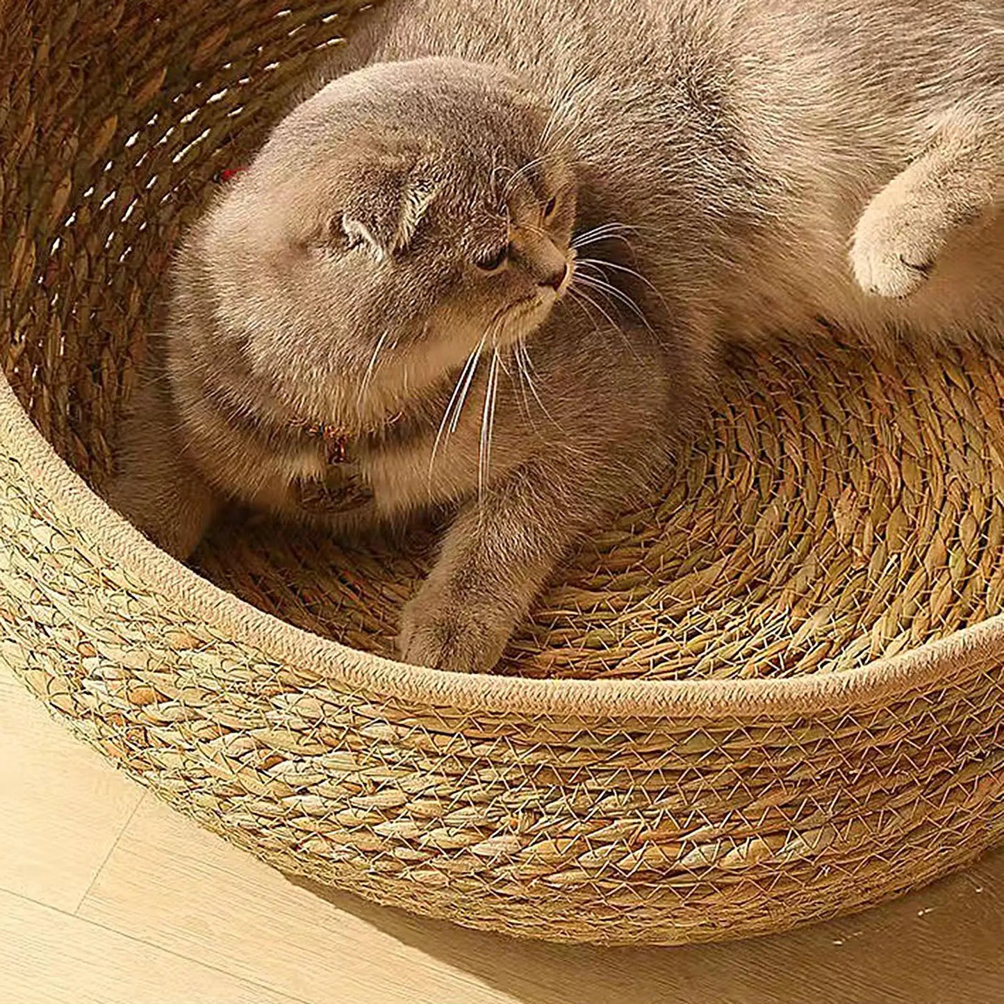 Pet Bed Soft Cat Kennel Dog Beds Sofa Bamboo Weaving Four Season Cozy Nest Baskets Removable Cushion Sleeping Bag