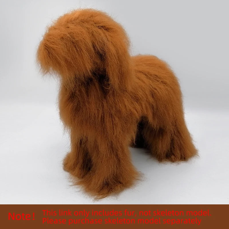 Pet Simulation Hair Beauty Practice Dog Standard Teddy Whole Body Fake Hair Only Pet Grooming Trimming Practice with Model Dog